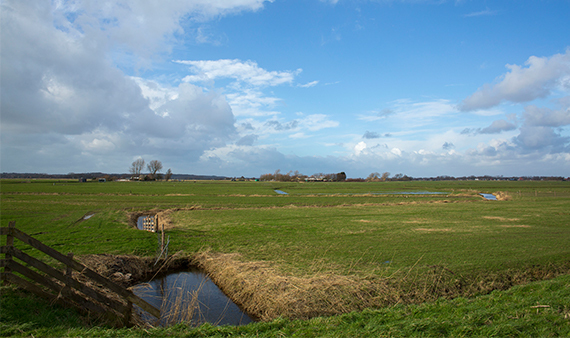 Provincie Noord-Holland subsidieert afkoop pacht en aankoop grond in Natuurnetwerk Nederland