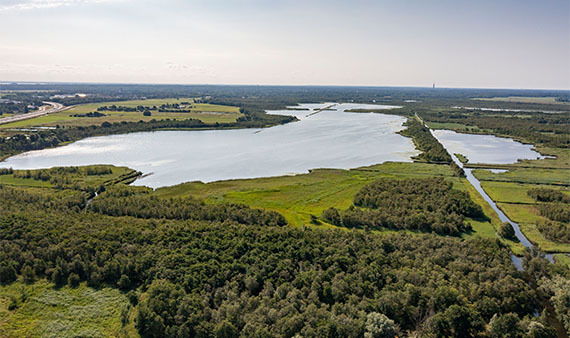 Beschermen natuur Naardermeer en Oostelijke Vechtplassen belangrijk