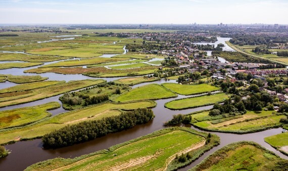 Natuur in Laag Holland ook volgens Ecologische Autoriteit onder druk