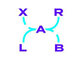 Logo XR Lab