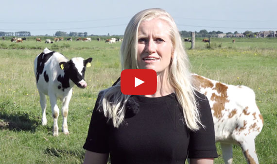 Video gedeputeerde Ilse Zaal over de Voedselvisie van de provincie Noord-Holland