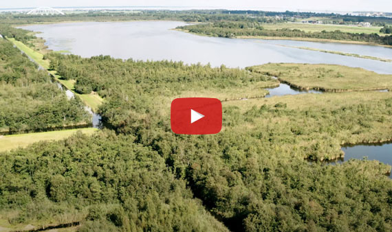 Videostill projecten van het Naardermeer