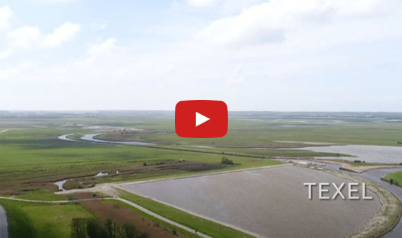 Video Op Texel is het grootste weidevogelgebied van Nederland in oude staat hersteld