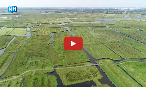  Videostill 30 jaar Natuurnetwerk Nederland, aflevering 1 Ilperveld