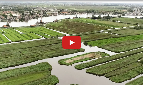 Video 30 jaar Natuurnetwerk Nederland, aflevering 5: Kalverpolder