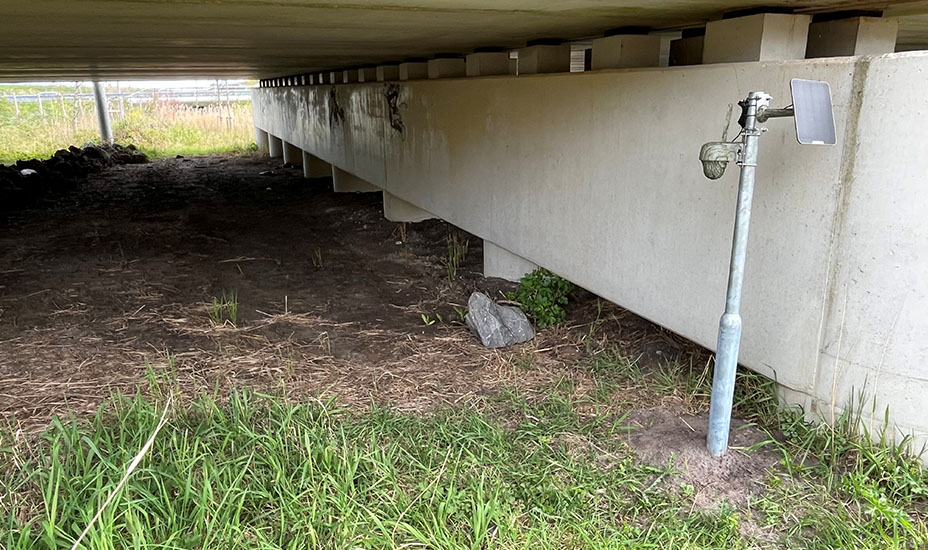 Nieuwe camera’s bij faunapassages om dieren te spotten