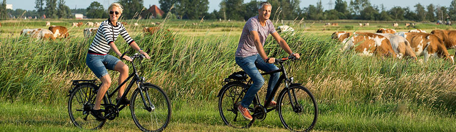 Fietsers onderweg