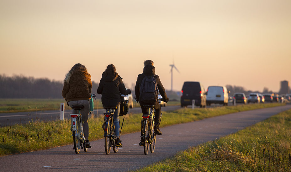 Fietsers op een fietspad