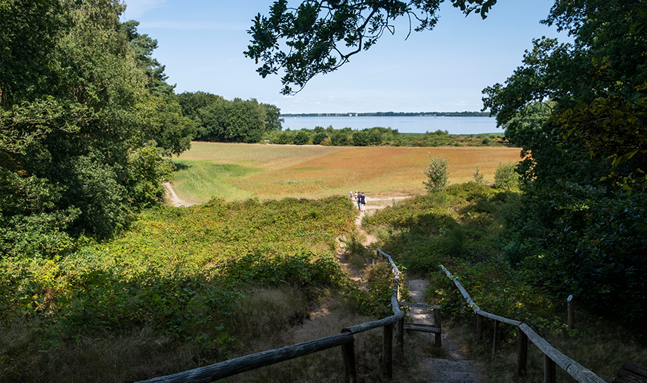 Klifkust bij Huizen