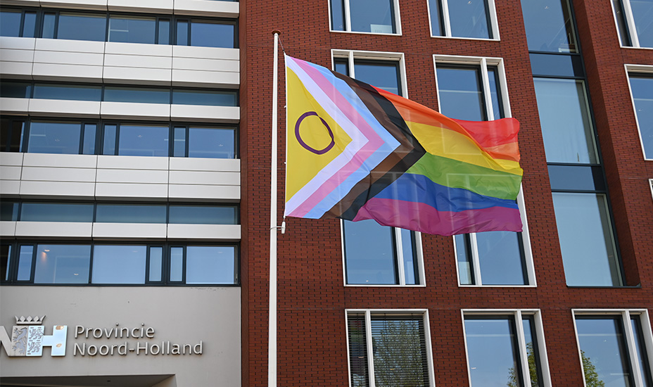 LGBTQ+-vlag