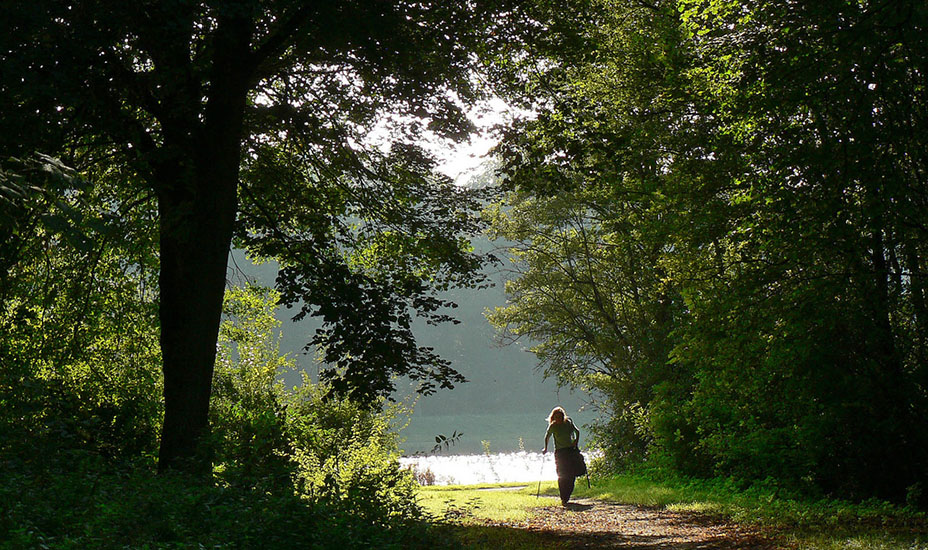 Bospad waar iemand wandelt