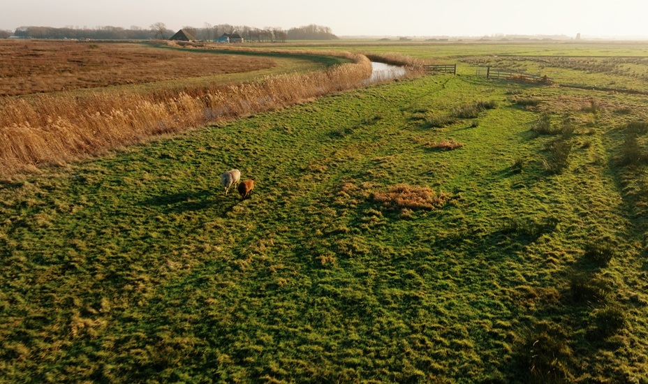 Luchtfoto van Weidse polders. 
