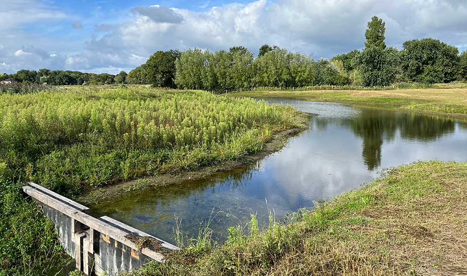 Stuwdam bij het Pollenvlak