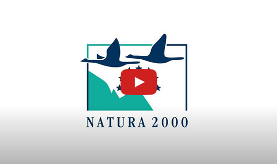 Bekijk de video: Wat is het nut en de noodzaak van Natura 2000?