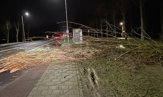 Storm Isha: provinciale wegen Noord-Holland weer begaanbaar