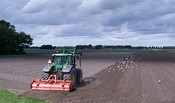 Subsidieoverzicht landbouw in Noord-Holland