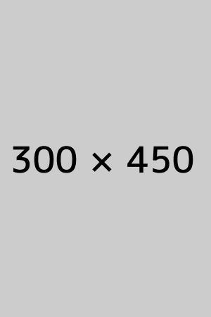 300_450