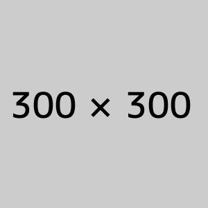 300_300