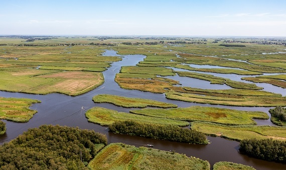 Aanvraag van € 110 miljoen voor herstel Noord-Hollandse natuur